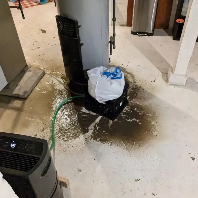 Sewage Backup Cleanup Service in Vine Hill, CA